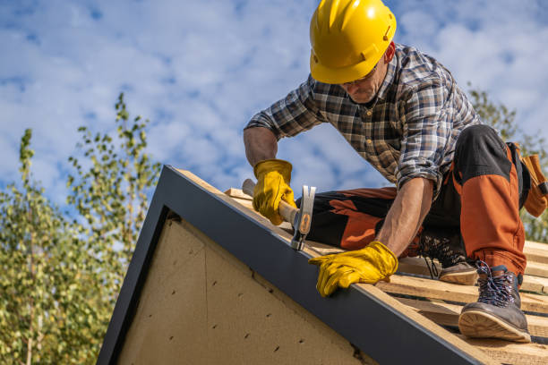 Best Roof Moss and Algae Removal  in Leisure Village, NJ